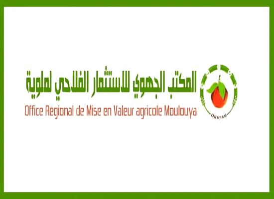 Concours de Recrutement ORMVAM 2026 (35 Postes)