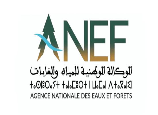 Concours de Recrutement ANEF 2026 (7 Postes)