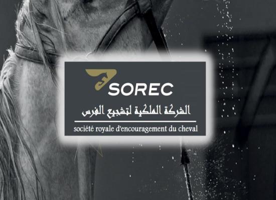 SOREC 2025 lance un Concours de Recrutement (04 Postes)