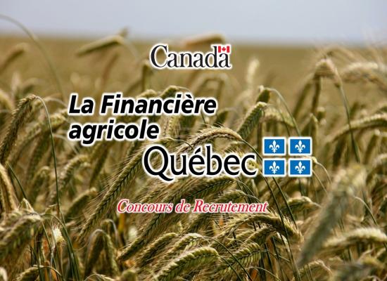 FAQ Québec Recrute des Experts Comptables dans Plusieurs Régions