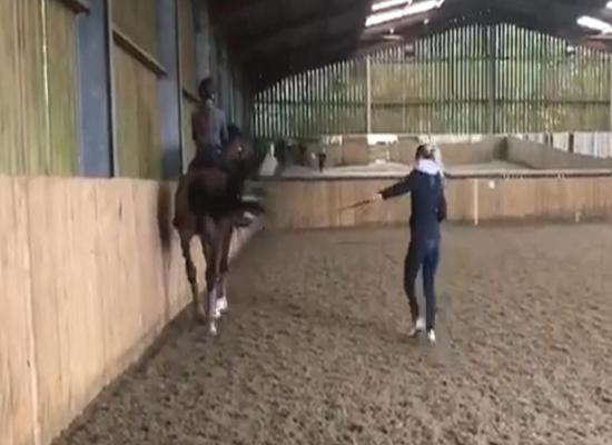 Video shows Charlotte Dujardin whipping horse in training session