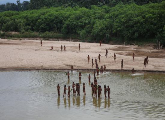 Rare video of uncontacted tribe shows members emerging from Amazon rainforest amid 'humanitarian disaster'