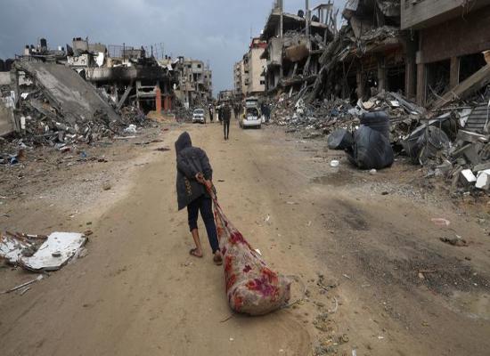 Rights expert finds ‘reasonable grounds’ genocide is being committed in Gaza