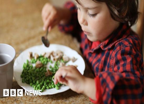 Billions of meals at risk due to Iran war, says fertiliser boss 