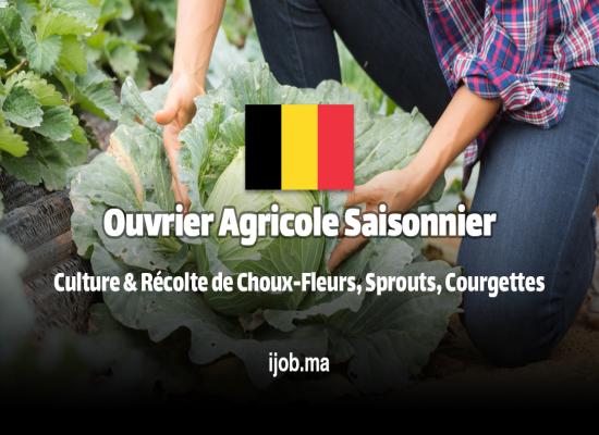 Ouvrier Agricole Saisonnier H/F – POVI BV à Houthulst (Belgique) !