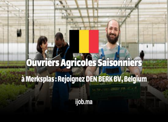 Ouvriers Agricoles Saisonniers à Merksplas : Rejoignez DEN BERK BV pour une Expérience Agricole Enrichissante