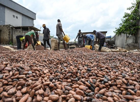 Chocolate is getting more and more expensive — but it's not yet showing signs of destroying demand