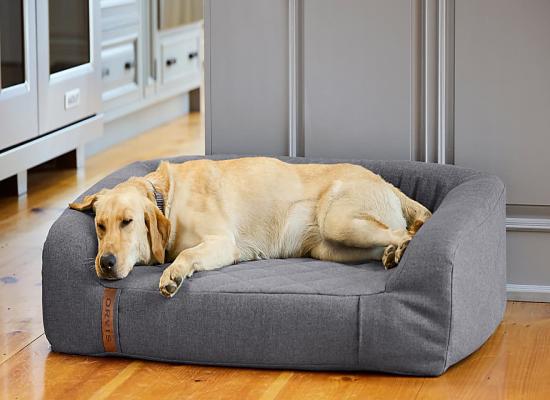 Massaging Balls, Plunge Pools, Memory Foam Dog Beds: Who Needs All This 'Recovery' Gear?