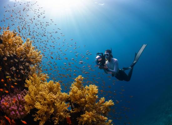  «دايف بتلر» تدير مركز غوص فئة 5 نجوم بجزيرة سندالة 