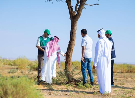  هيئة تطوير محمية الملك سلمان بن عبدالعزيز الملكية بالتعاون مع مركز وقاء تنفذ دراسة مسببات الأمراض النباتية لشجر الطلح وعزل الفطريات المصابة 