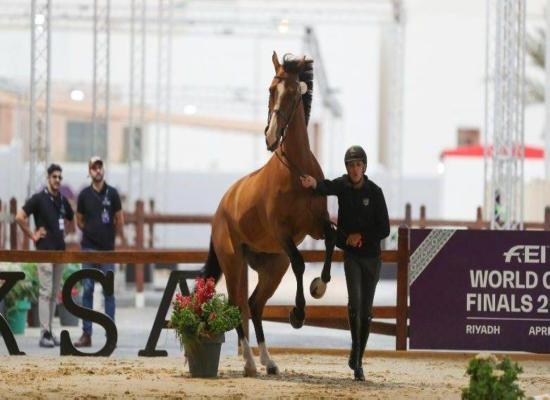  وزير الرياضة يرحب بفرسان قفز الحواجز والترويض 