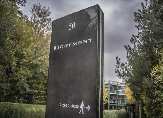 Richemont fait face à des vents contraires alors que le secteur du luxe affiche des performances mitigées