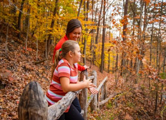 Kentucky can look to other states for how to boost conservation funding