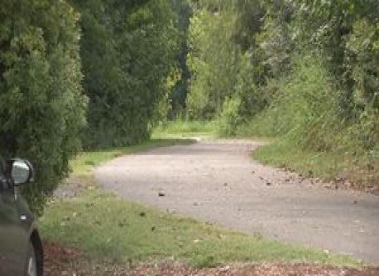 ‘It’s scary’: Suspect still at-large following sexual assault at McAlpine Creek Greenway