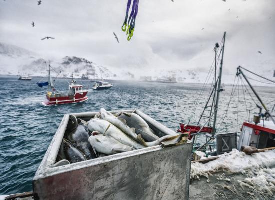 Russia tears up Soviet-era fishing agreement with UK