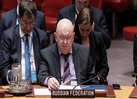 UN resolution undermines Bosnia peace – Russia