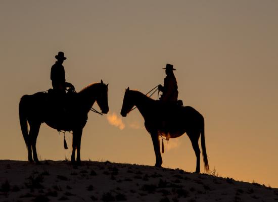 ‘Brokeback Mountain’ blocked in Russia