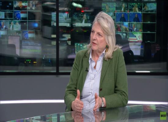 Hungary election a US-EU ‘proxy war’ – ex-Austrian foreign minister