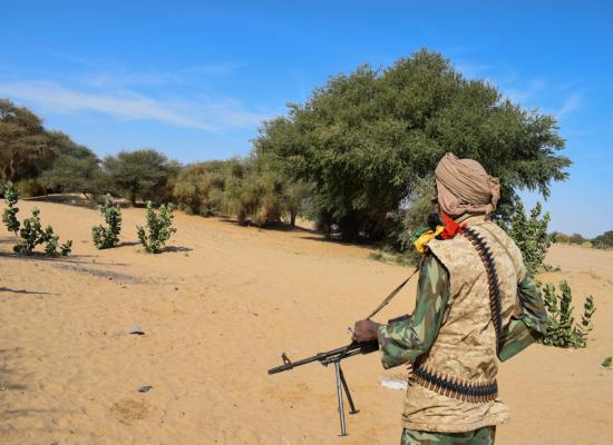 La diplomatie russe alerte sur le risque de transfert massif de terroristes étrangers vers l’Afrique