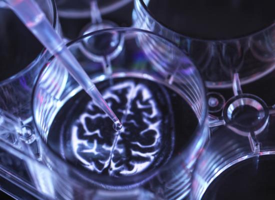 10 حقائق صادمة عن علاقة السكري بالخرف