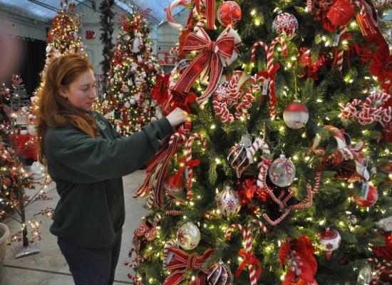 See holiday lights, support the food bank, plus Christmas decorating trends
