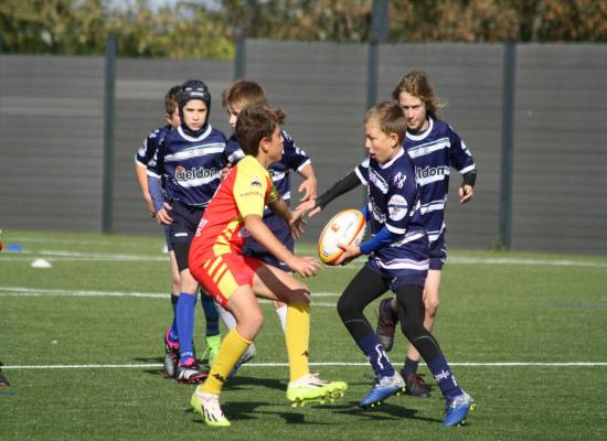 Flamanville. 250 petits rugbymen manchois sur la pelouse