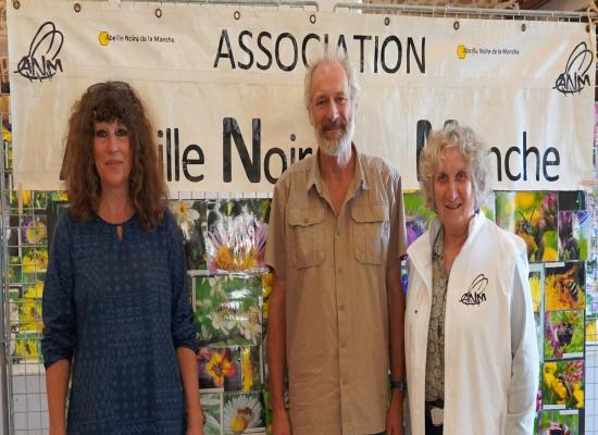 Saint-Vaast-la-Hougue. Protection du patrimoine naturelUne expo pour mieux préserver les abeilles sauvages