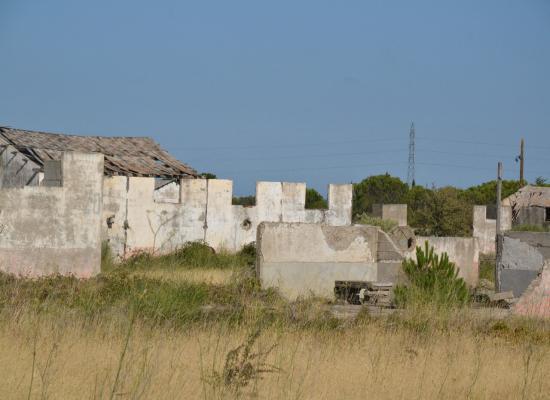 La piste d'un cimetière oublié au camp de Rivesaltes : un terrible secret bientôt déterré ?