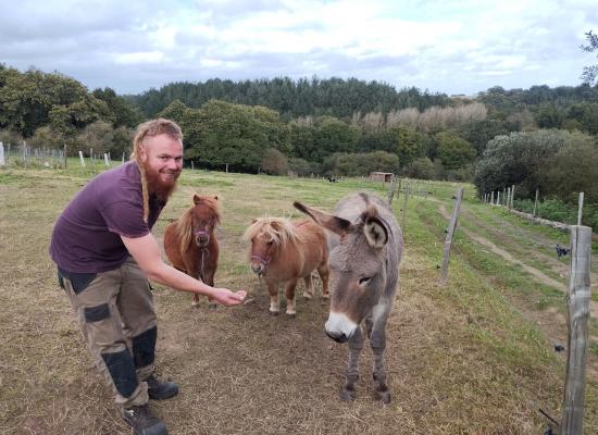 Autour de Lannion. Les Animaux du bois : des animations en famille pendant les vacances