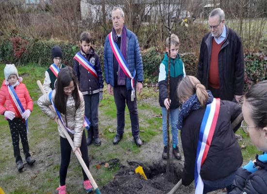 Eure. Huit pommiers plantés par les jeunes élus du conseil municipal de Romilly-sur-Andelle