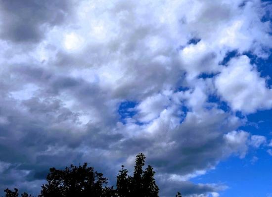 Pluie, vent, hausse des températures : quelle météo pour la fin de semaine à La Ferté-Gaucher ?