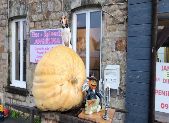 Une citrouille de presque 200 kg à voir dans ce bourg du Cotentin !