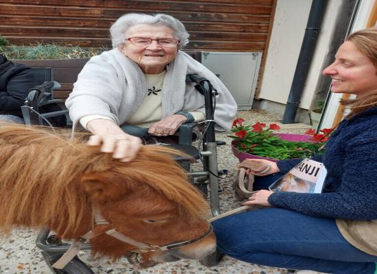 Son poney et son âne font vivre des moments d’émotion à ces résidents d’un Ehpad du Calvados