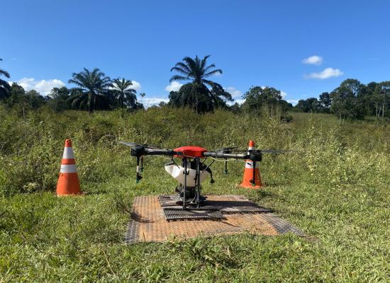 Are seed-sowing drones the answer to global deforestation?