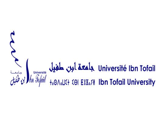Concours Université Ibn Tofail 2023 (3 Postes)