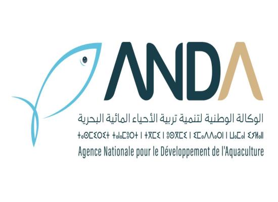 Concours de Recrutement ANDA 2026 (9 Postes)