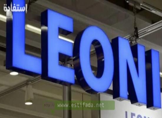 LEONI Maroc : offres de stage en 2024/2025