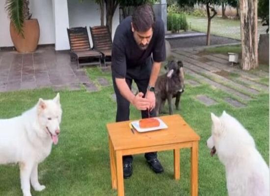 MS Dhoni's unique birthday celebration is breaking internet: Here's a glimpse shared by maestro himself