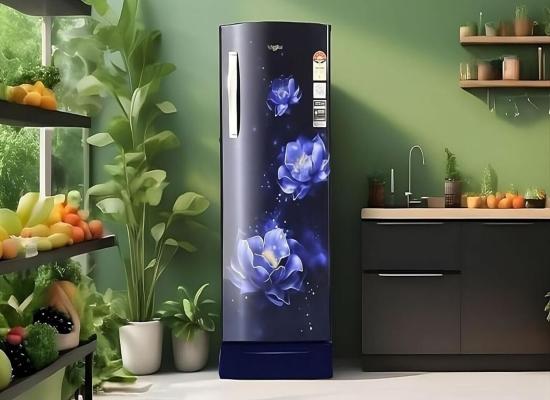 Amazon Summer Sale: Choose from the best-selling single door refrigerators with discounts up to 30%