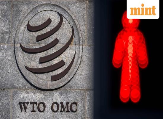 India to push trade, WTO reforms, and food security at MC14