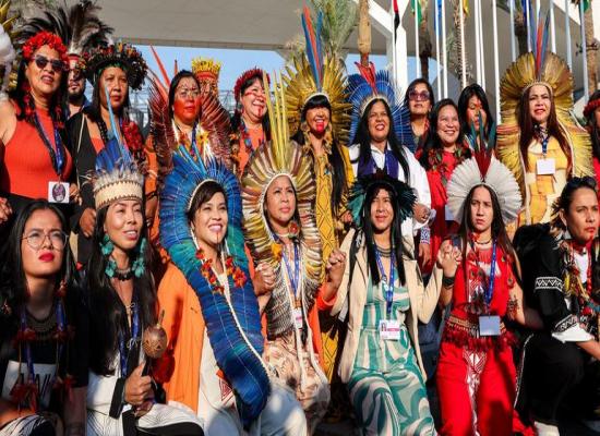 Transform landmark Indigenous rights declaration into reality: UN General Assembly President
