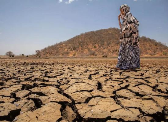 رئيس مالاوي يعلن حالة الكارثة بسبب الجفاف