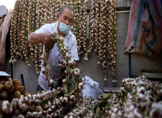 Why are US politicians afraid of Chinese garlic?