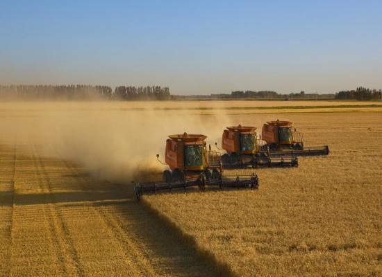 EU to extend tariff-free entry for Ukrainian grain – official