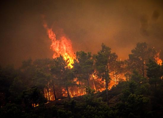 Residents, tourists flee wildfire on Greece’s Rhodes island