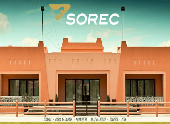 Concours de Recrutement SOREC 2024 (4 Postes)
